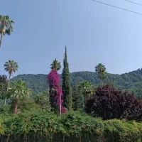 459-متر-سند-دار-یالبندان-کلارآباد-نمک-آبرود-مالک