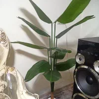 درختچه مصنوعی پرنده بهشتی