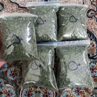ارگانیک کده|خوردنی و آشامیدنی|مشهد, هفت تیر (آب و برق)|دیوار