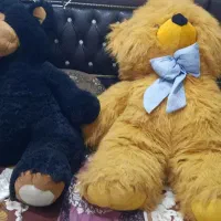 خرس بزرگ