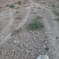 زمین-زراعی