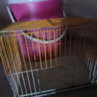 فروش باند و تلویزیون|سیستم صوتی خانگی|میاندوآب, |دیوار