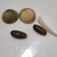 سنگ اصلی مهره تضمین اصل