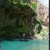 همپا جهت شنا تفریحی و مبتدی