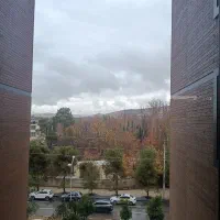 زمین-گرد-خون