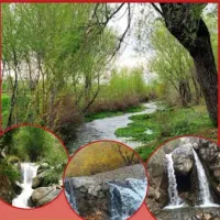 تور یک روزه چشمه کوهسار زیبا