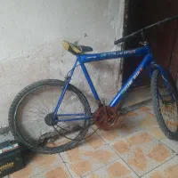 دوچرخه دو عدد