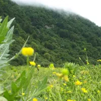 زمین-مسکونی-ویلایی