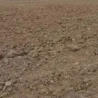 ۱۷۰۰ متر زمین دیوارکشی سند تک‌برگ  بر ۳۲ متر