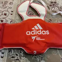 هوگو تکواندو