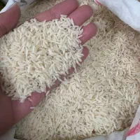 ارزانسرای برنج و حبوبات