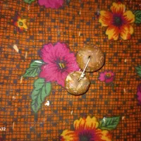 دوعدد مهره نمیدونم اسمشون چیه