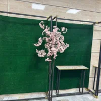 اجاره رایگان اتاق سالن زیبایی