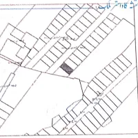 زمین ۲۰۰ متری ۶ دانگ میدان پردیس