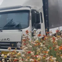 جک ۸/۲۰۰ وارداتی