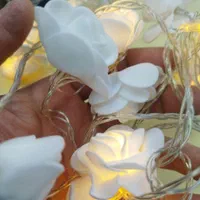 ریسه ال ای دی گلدار|ریسه و چراغ تزئینی|قم, باغ شریفی|دیوار