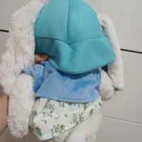 عروسک|اسباب‌‌بازی|قوچان, |دیوار