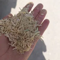 کاه نخود درجه ۱