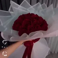 شیپور|گل و گیاه طبیعی|دورود, |دیوار
