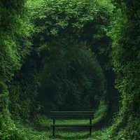 استخدام سرایدار باغچه و ...