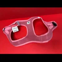 قلاده تنی سگ