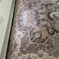 فرش ماشینی|فرش|رشت, فرودگاه سردار جنگل رشت|دیوار