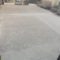 موکت سالم