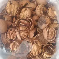 گردو کردستان همه رقمه|خوردنی و آشامیدنی|قم, ارم|دیوار