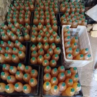 آبغوره محلی