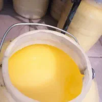 روغن حیوانی هورامان|خوردنی و آشامیدنی|کامیاران, |دیوار