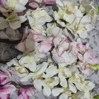 گل زیبا سالم