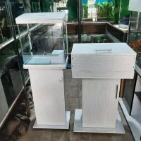 آکواریوم آسیا فروش انواع ماهی