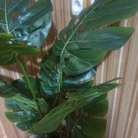 درختچه برگ انجیری نو وارداتی|گل مصنوعی|یاسوج, |دیوار