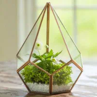 ظرف دکوری شیشه ای چند وجهی