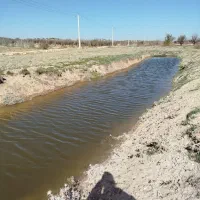 باغ|فروش دفتر صنعتی، کشاورزی، تجاری|شیراز, گلستان|دیوار