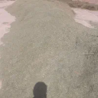 یونجه