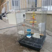 قفس پرنده