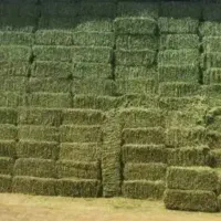 پرس یونجه . و شبدر