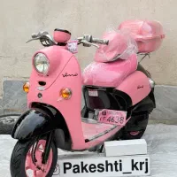 دنیای پاکشتی های رنگارنگ