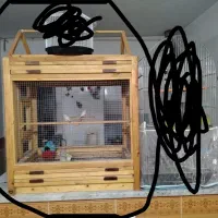 قفس شیک پایه دار معاوضه