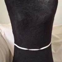 مانکن خیاطی