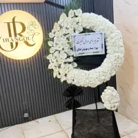 گل ختمی|گل و گیاه طبیعی|تهران, شهرک محلاتی|دیوار