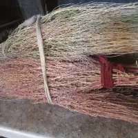 جارو کشمونی