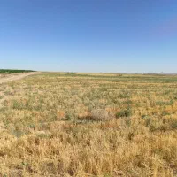 52 هکتار زمین کشاورزی|فروش دفتر صنعتی، کشاورزی، تجاری|میمه, |دیوار