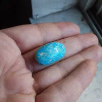 فیروزه کرمانی