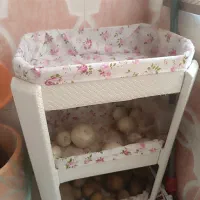 جا سیب زمینی و پیاز