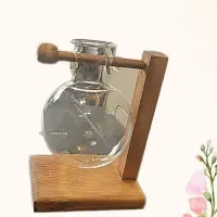 جای قلمه گیاه