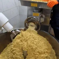 خمیر فلافل ویژه