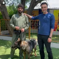 مربی سگ تربیت سگ