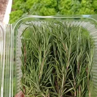 پخش انواع سبزیجات و میوه های مدیترانه ای